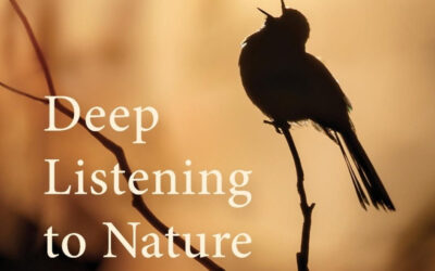 Journal: Reflections on ‘Deep Listening to Nature’ by Andrew Skeoch